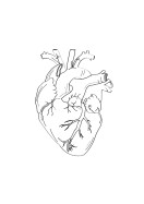 Heart Anatomy Line Art | Búðu til þitt eigið plakat
