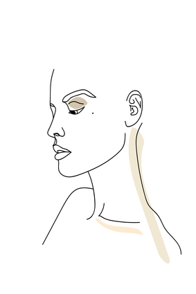 Female Face Sketch