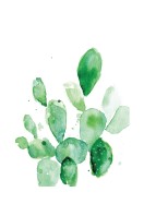 Cactus Watercolor Art | Búðu til þitt eigið plakat