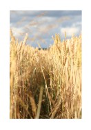 Wheat Field | Búðu til þitt eigið plakat