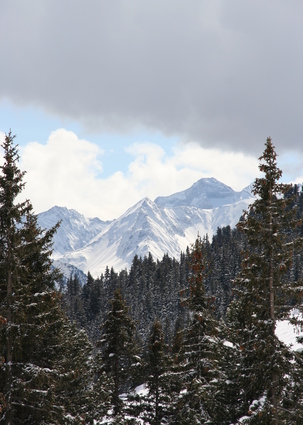 View Of Snowy Mountain And Forest