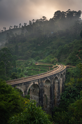 Nine Arch Bridge In Sri Lanka