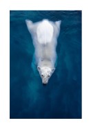 Swimming Polar Bear | Búðu til þitt eigið plakat