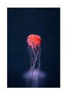 Vibrant Jellyfish In The Ocean | Búðu til þitt eigið plakat