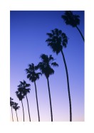 Palm Trees At Sunset In California | Búðu til þitt eigið plakat