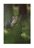 Wild Lynx In Nature | Búðu til þitt eigið plakat