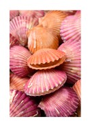Pink Sea Shells | Búðu til þitt eigið plakat