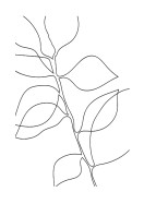 Botanical Line Art | Búðu til þitt eigið plakat