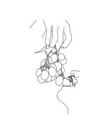 Grapes Line Art | Búðu til þitt eigið plakat