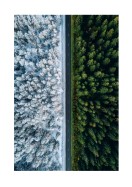 A Forest In Summer And Winter | Búðu til þitt eigið plakat