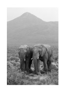 Two Elephants In Black And White | Búðu til þitt eigið plakat
